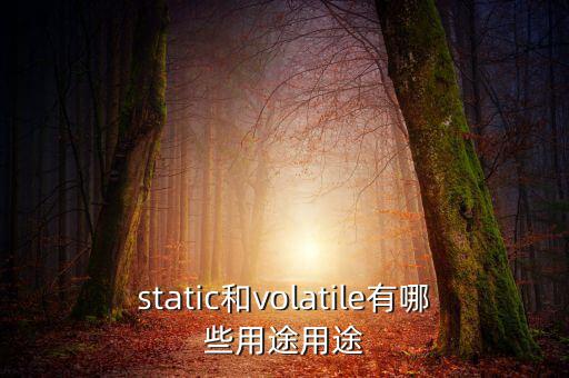 vtm有什么用，static和volatile有哪些用途用途