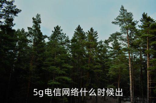 5g電信網(wǎng)絡(luò)什么時(shí)候出