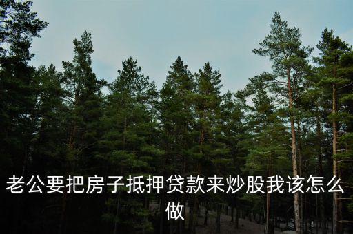 老公要把房子抵押貸款來炒股我該怎么做