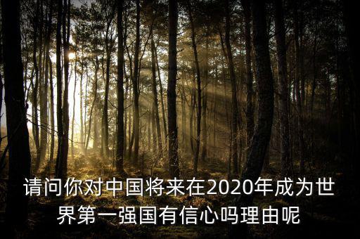 請(qǐng)問(wèn)你對(duì)中國(guó)將來(lái)在2020年成為世界第一強(qiáng)國(guó)有信心嗎理由呢