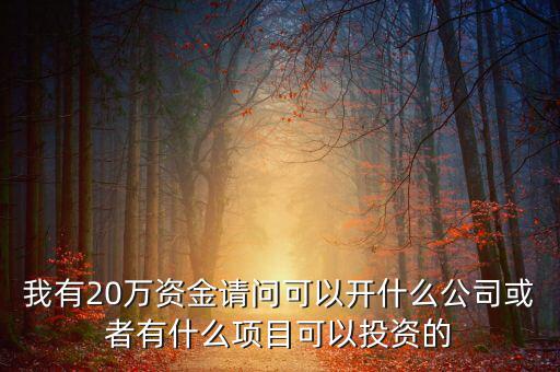 我有20萬資金請問可以開什么公司或者有什么項目可以投資的