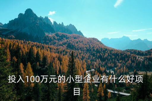 什么企業(yè)愛投資項目，投入100萬元的小型企業(yè)有什么好項目