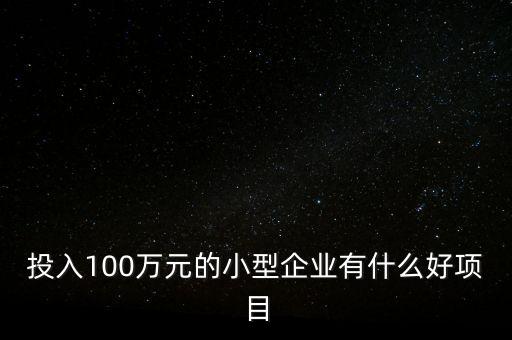 投入100萬元的小型企業(yè)有什么好項目