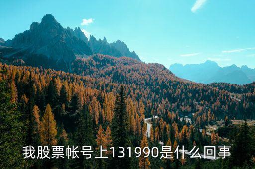 131990標(biāo)準(zhǔn)券是什么，本來輸入代碼131810結(jié)果成交以后卻是131990標(biāo)準(zhǔn)券盈虧比例