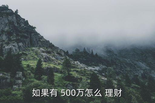 如果有 500萬怎么 理財