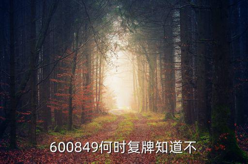 儀電b股什么時(shí)候復(fù)牌，600849何時(shí)復(fù)牌知道不