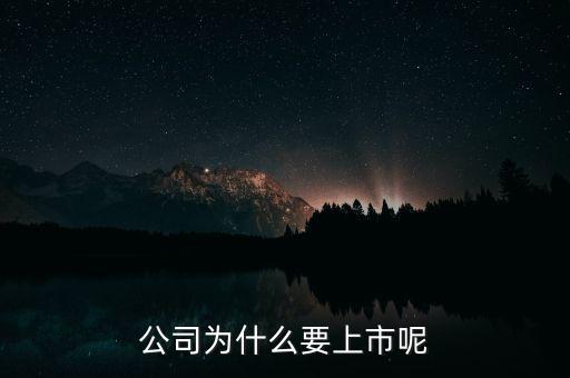 公司為什么上市，公司為什么要上市呢