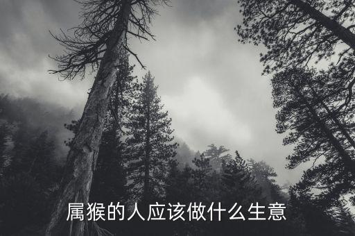 屬猴的人應該做什么生意