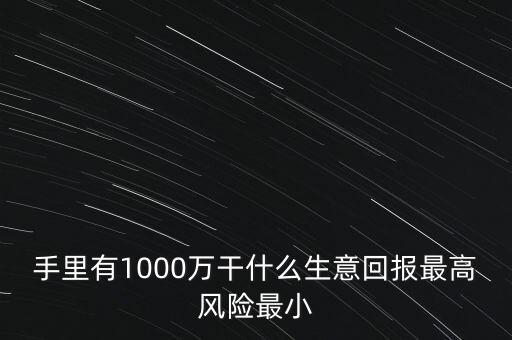 1000萬投資什么生意，手里有1000萬干什么生意回報(bào)最高風(fēng)險(xiǎn)最小