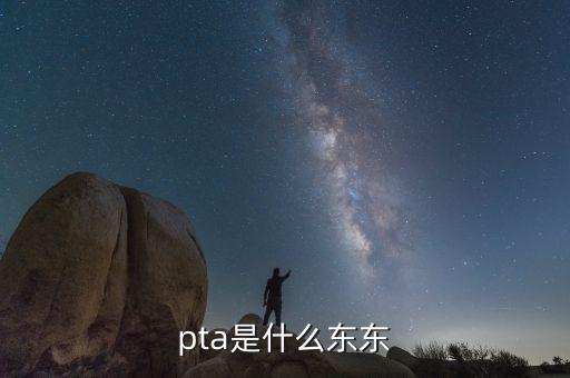 pta行業(yè)是什么，pta是什么東東