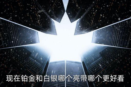 什么白銀最亮，哪種銀子最好