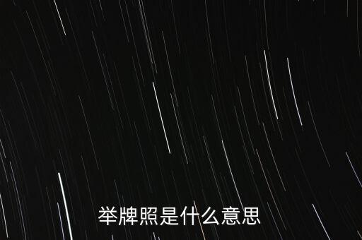 舉牌照是什么意思