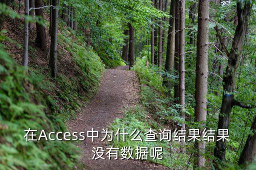 832494為什么沒有數(shù)據(jù)，在Access中為什么查詢結(jié)果結(jié)果沒有數(shù)據(jù)呢