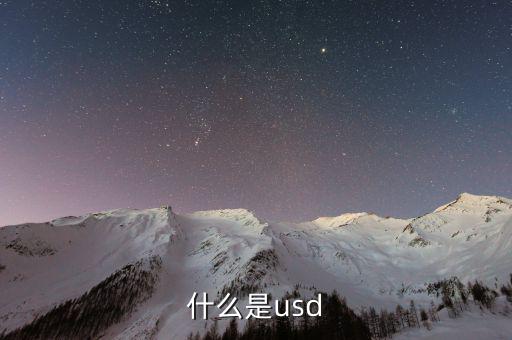 usd是什么，usd是什么貨幣