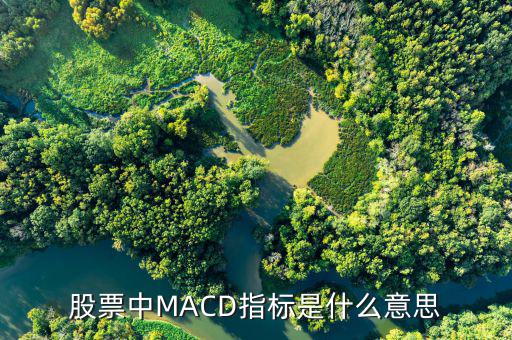 股票中MACD指標(biāo)是什么意思