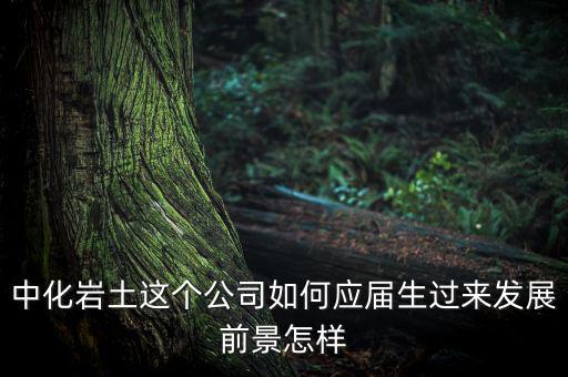 中化巖土這個(gè)公司如何應(yīng)屆生過來發(fā)展前景怎樣