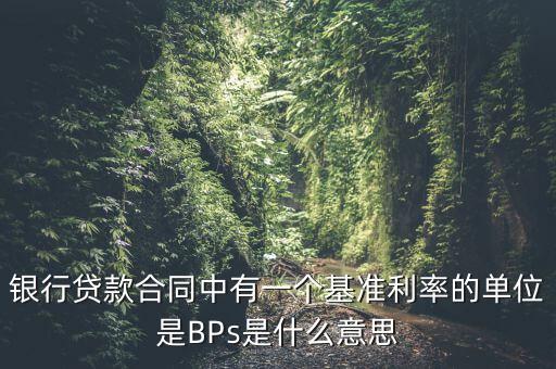 利率bps是什么意思，BPS是什么