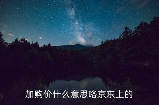 加購價什么意思咯京東上的