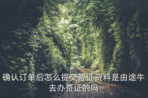 為什么途牛金服資料提交不了，申請(qǐng)途牛額度的資料怎么填寫我填的都是真的也很全啊但是一提