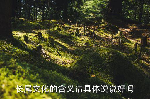 長(zhǎng)尾文化的含義請(qǐng)具體說(shuō)說(shuō)好嗎