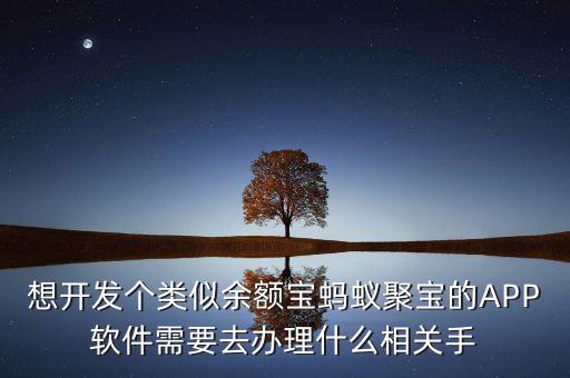 想開發(fā)個類似余額寶螞蟻聚寶的APP軟件需要去辦理什么相關(guān)手