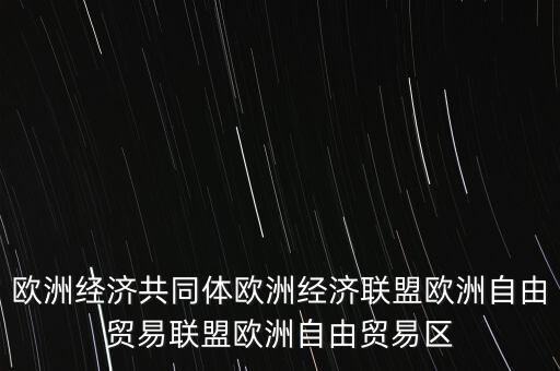 歐洲經濟共同體歐洲經濟聯盟歐洲自由貿易聯盟歐洲自由貿易區(qū)