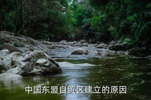 中國東盟自貿(mào)區(qū)建立的原因