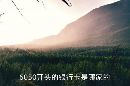 6050開頭的銀行卡是哪家的