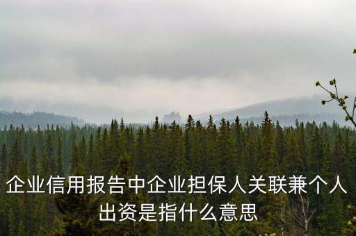 擔保人關聯(lián)是什么意思，企業(yè)征信中 擔保人關聯(lián)是什么意思