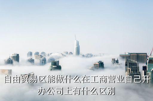 自貿(mào)區(qū)有什么生意做，自貿(mào)區(qū)可以做做小生意嗎