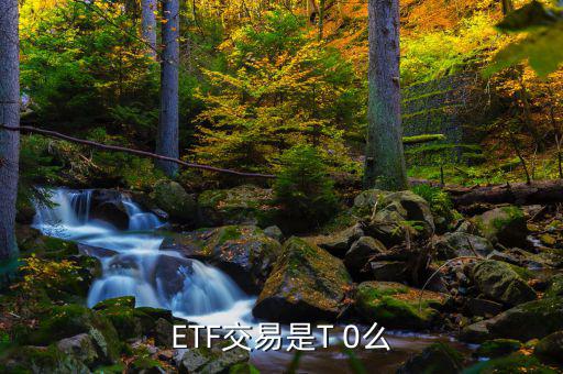 銀華日利怎么套利,t-0交易貨幣etf可在t日直接拋出