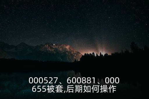 000527、600881、000655被套,后期如何操作