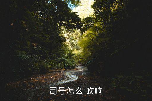 司號(hào)怎么 吹響