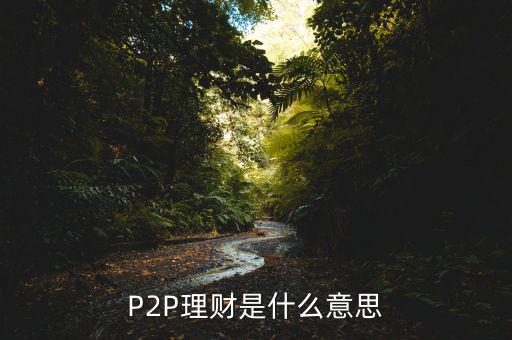 p2p理財(cái)是什么意思，什么是P2P理財(cái)