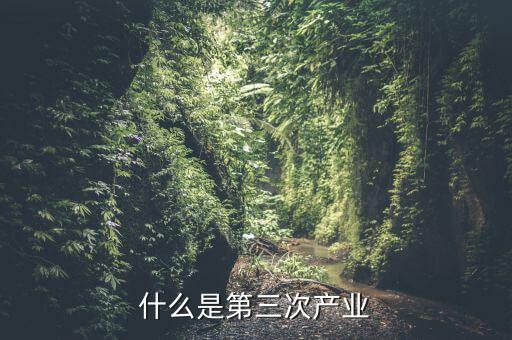 什么是三次產(chǎn)業(yè)融合，什么是產(chǎn)業(yè)融合