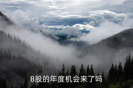 b股有什么消息嗎，B股會有明天嗎