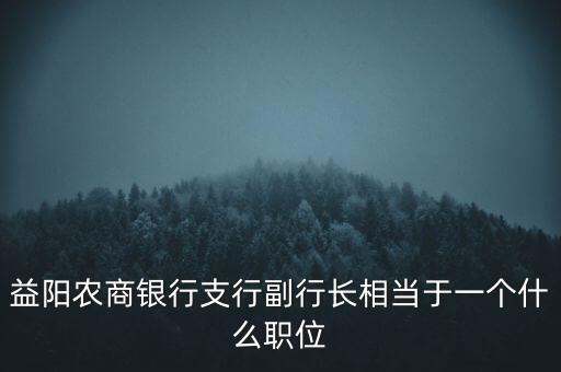 益陽農(nóng)商銀行支行副行長相當(dāng)于一個什么職位