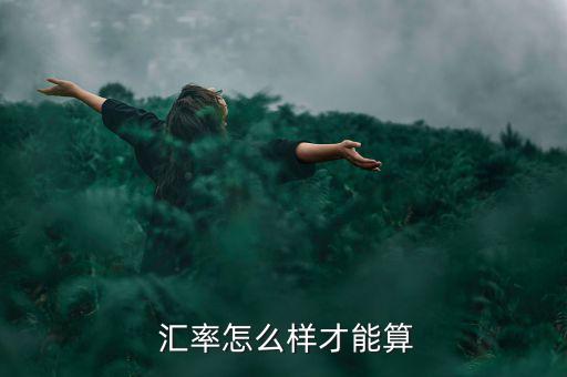  匯率怎么樣才能算