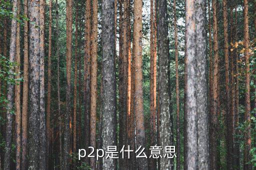 p2p是什么意思