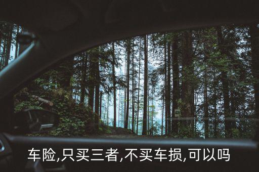 車險,只買三者,不買車損,可以嗎