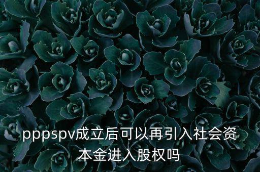 spv公司是什么意思，spv公司是獨(dú)立法人