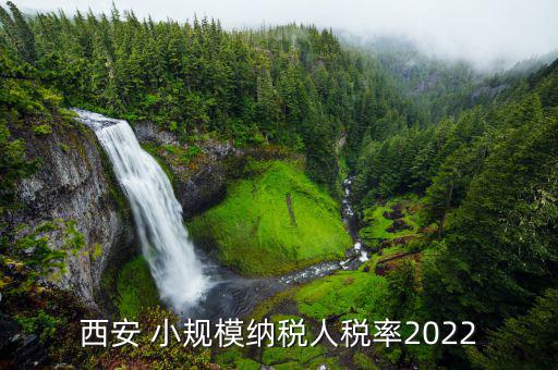 西安 小規(guī)模納稅人稅率2022