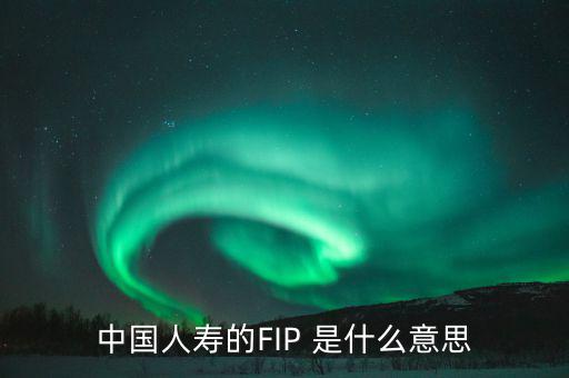 規(guī)模保費(fèi)是什么意思，中國(guó)人壽的FIP 是什么意思