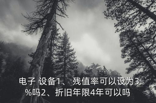  電子 設(shè)備1、 殘值率可以設(shè)為3%嗎2、折舊年限4年可以嗎