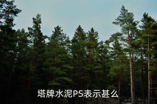 塔牌水泥PS表示甚么