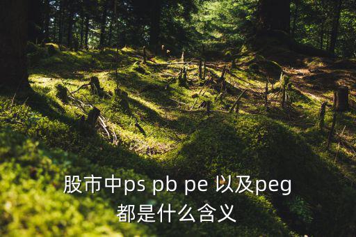 股市peg是什么意思，請問在股市里的PEG是什么意思和股價(jià)的關(guān)系怎樣多謝