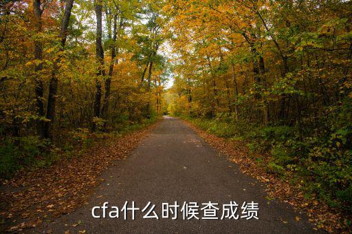 cfa什么時候查成績