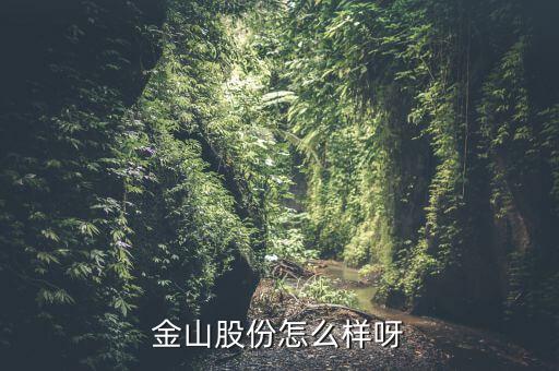 為什么沒人關(guān)注金山股份，金山股份怎么樣呀