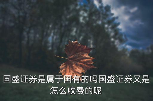 國盛證券是屬于國有的嗎國盛證券又是怎么收費的呢