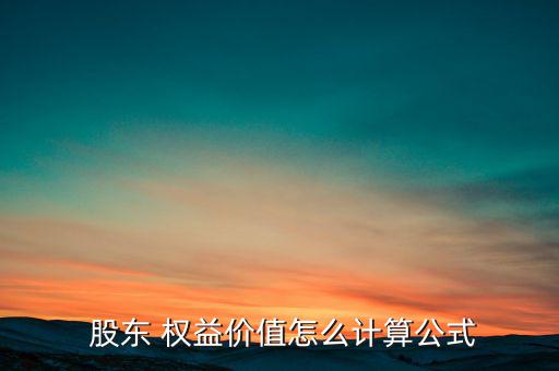  股東 權(quán)益價值怎么計算公式